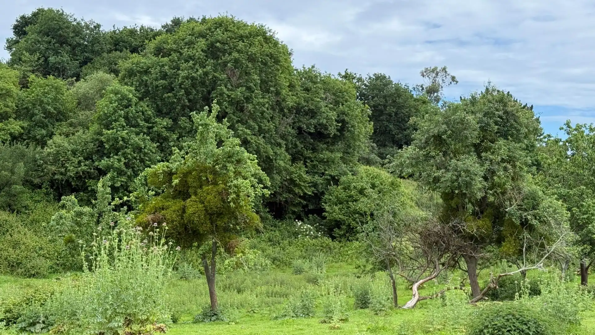 Residencial en venta en Reocín
