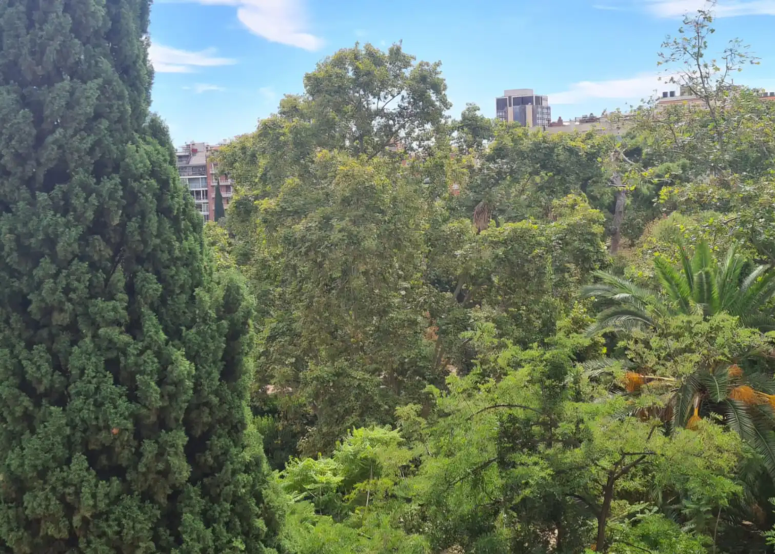 Àtic amb ascensor en venda a Sarrià - Sant Gervasi, imagen 6