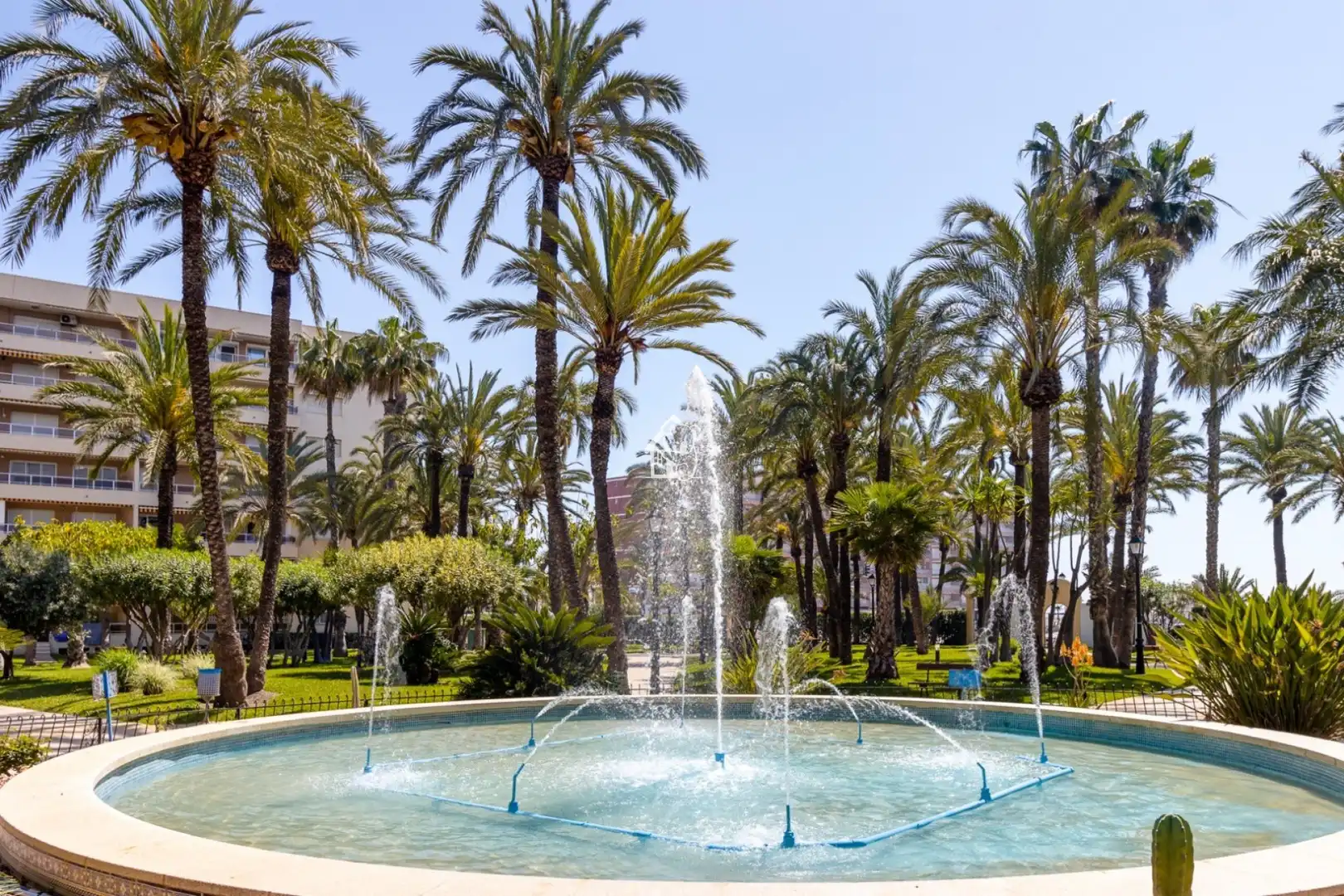 Vista exterior de Planta baixa de lloguer en Torrevieja amb Aire condicionat, Terrassa i Piscina
