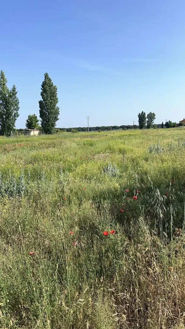 Terreni e lotti in vendita a Lugar Sud 12 1199, imagen 16