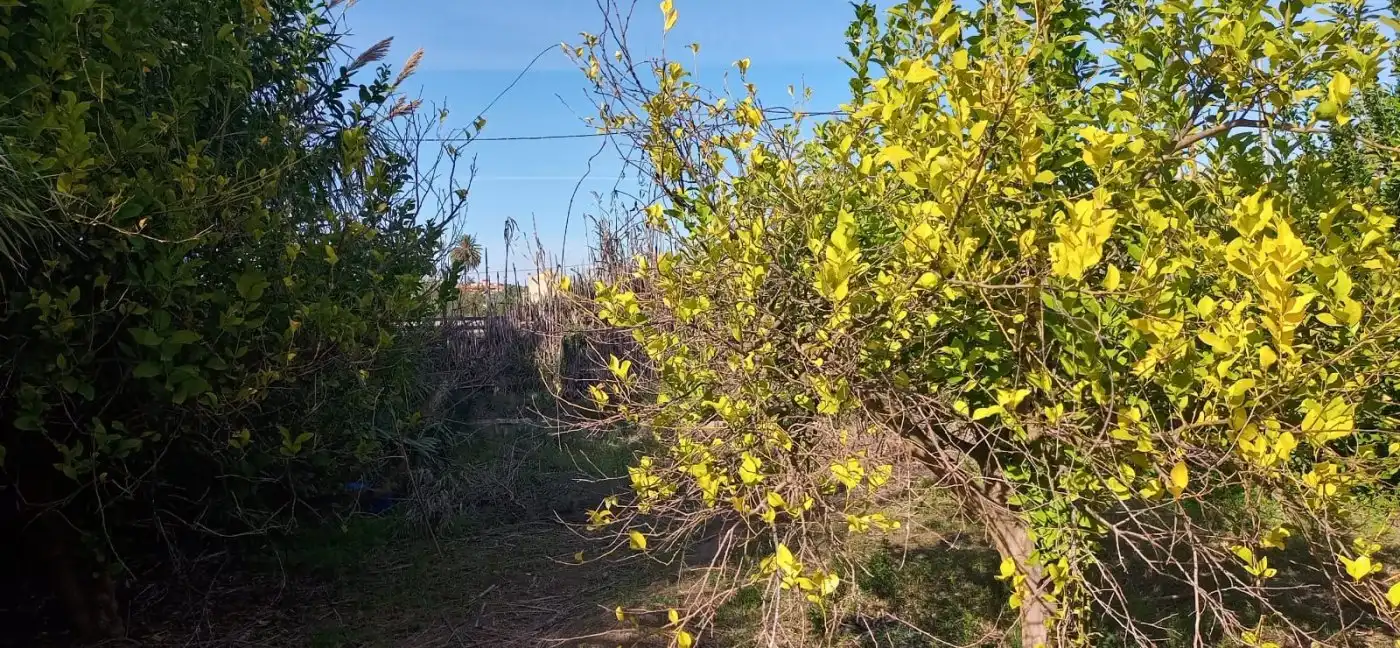 Wohnbaugrundstück zum Verkauf in Pedanías Oeste, imagen 7