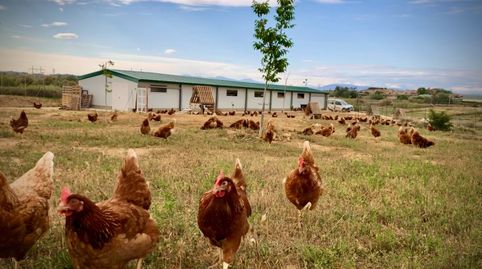 Se vende granja para explotación o como forma de vida autosostenible y ecológica., imatge 5
