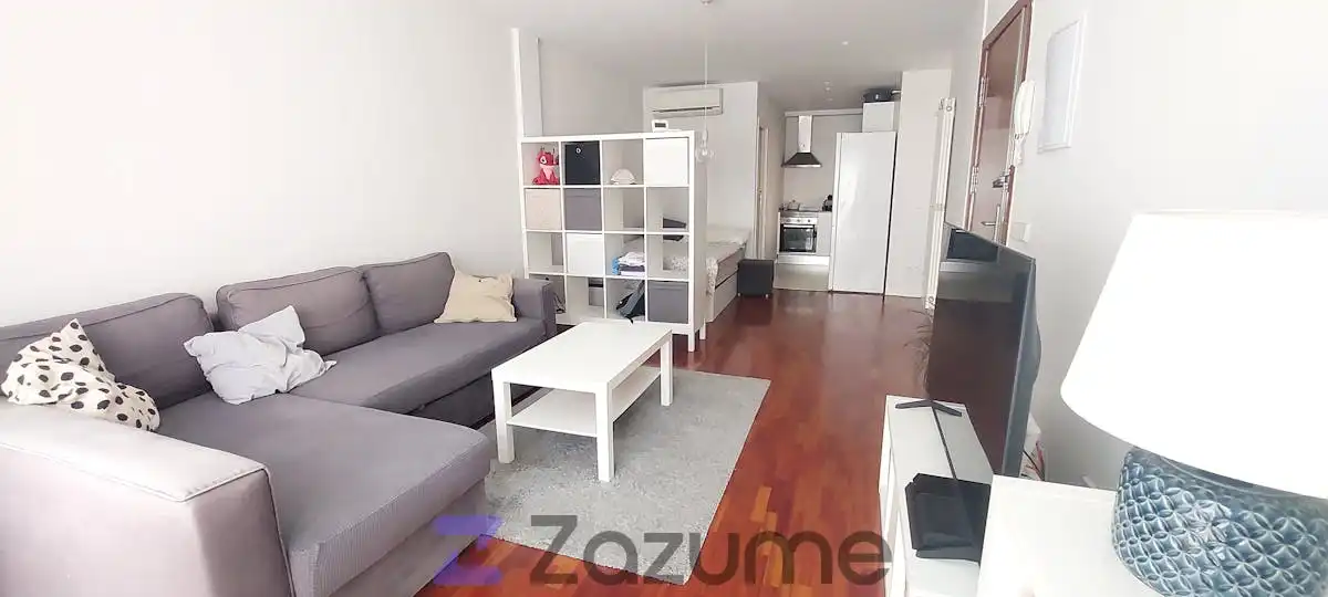 Sala d'estar de Estudi de lloguer en Madrid amb Aire condicionat, Calefacció i Parquet