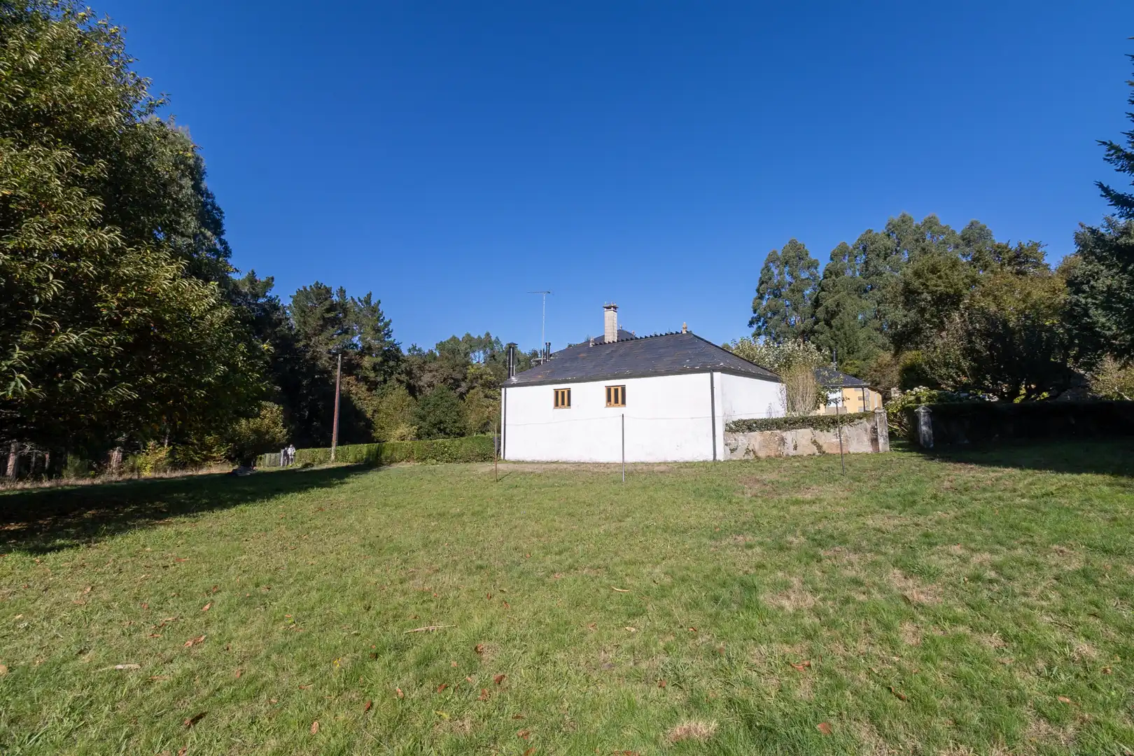 Houses for sale in Friol