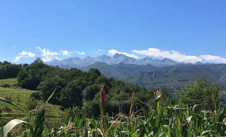 Vista exterior de Casa o chalet en venta en Cangas de Onís, Asturias