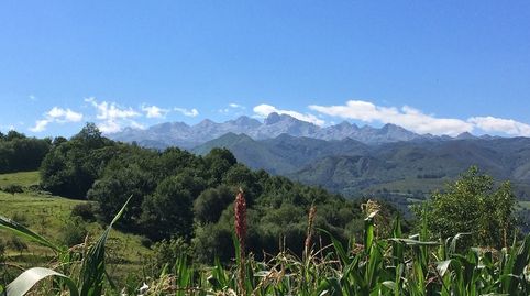Foto 2 de Casa o chalet en venta en Lugar Llenin, 42, Cangas de Onís, Asturias