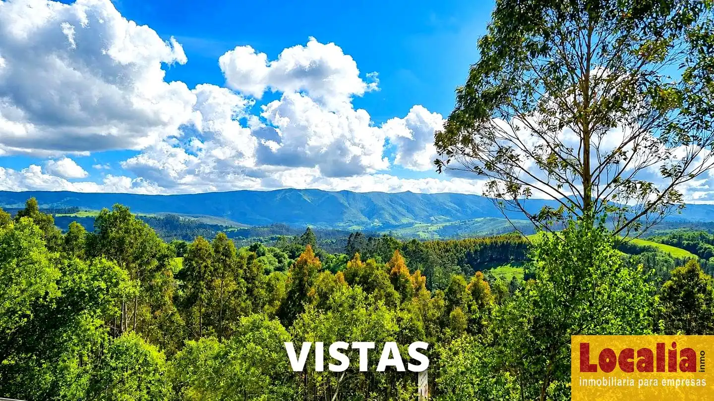 Vista exterior de Casa o chalet en venta en Comillas (Cantabria) con Jardín privado