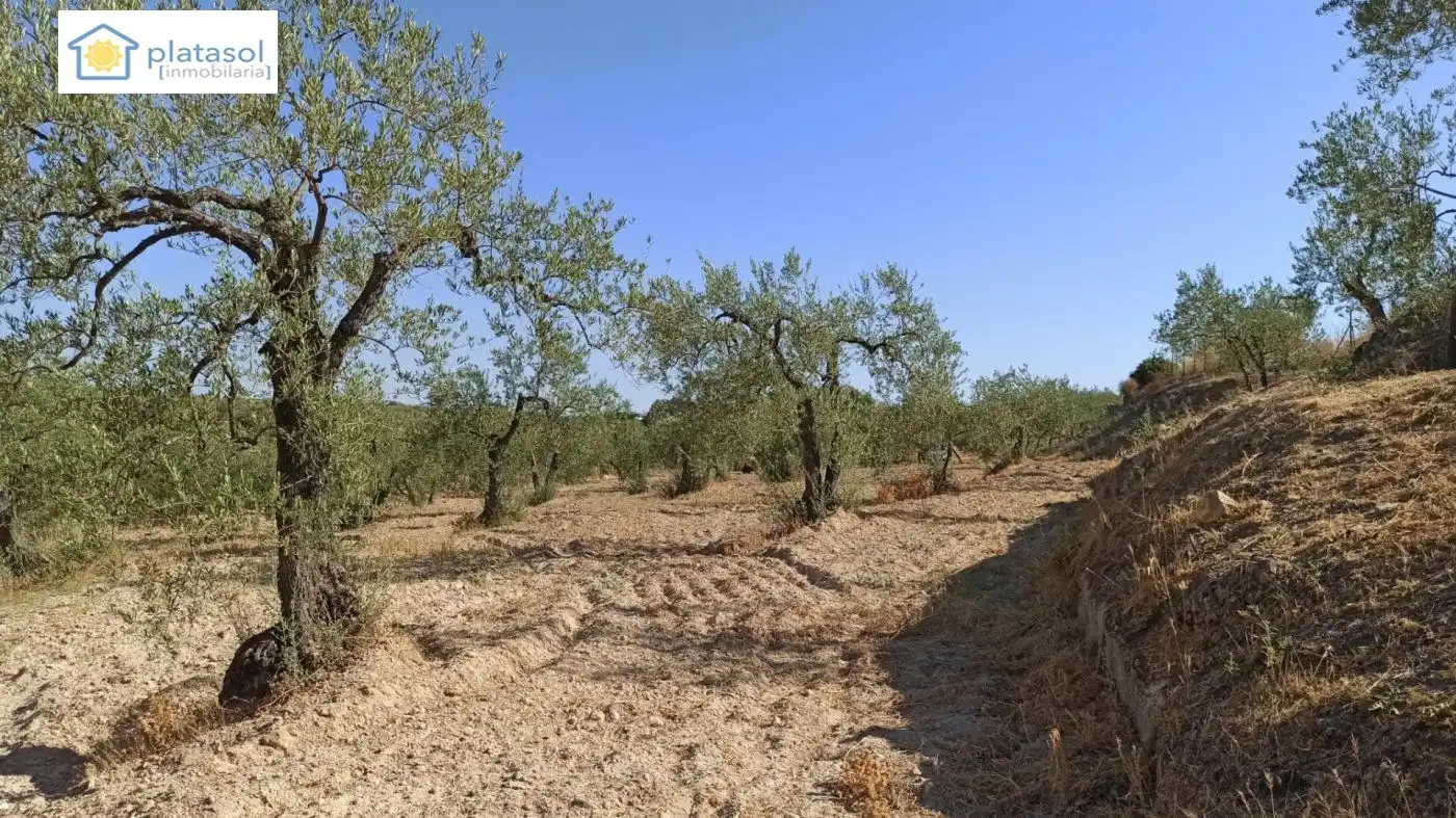 Terreni e lotti in vendita a de la Piedra Caballera, imagen 8
