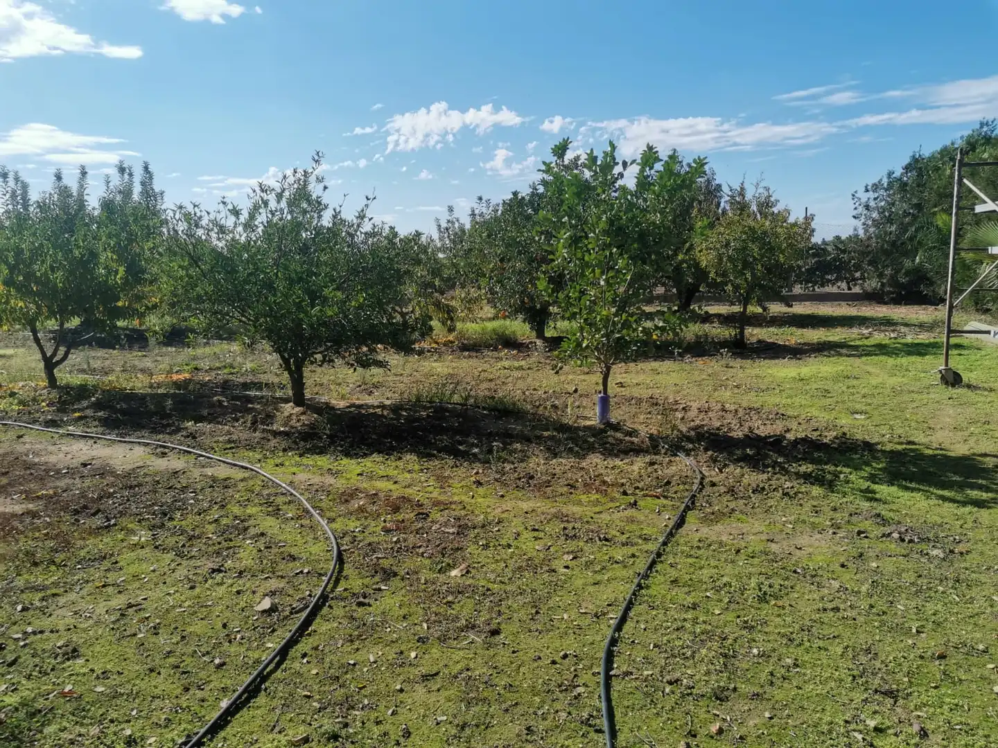 Terreni e lotti in vendita a Poblado Villanueva de la Serena 48, imagen 6