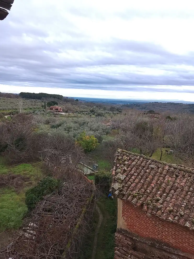 Garden of Houses for sale in Valverde de la Vera