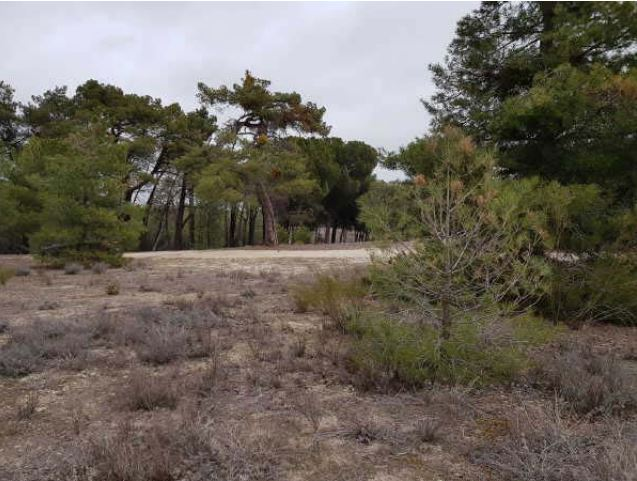 Residential for sale in Arévalo