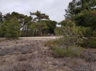 Terrenys i solars en venda a Arévalo