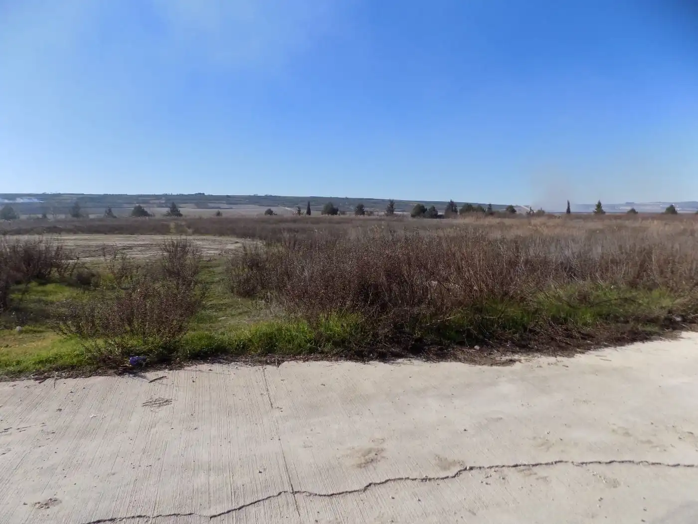 Industrial land for sale in Sesma