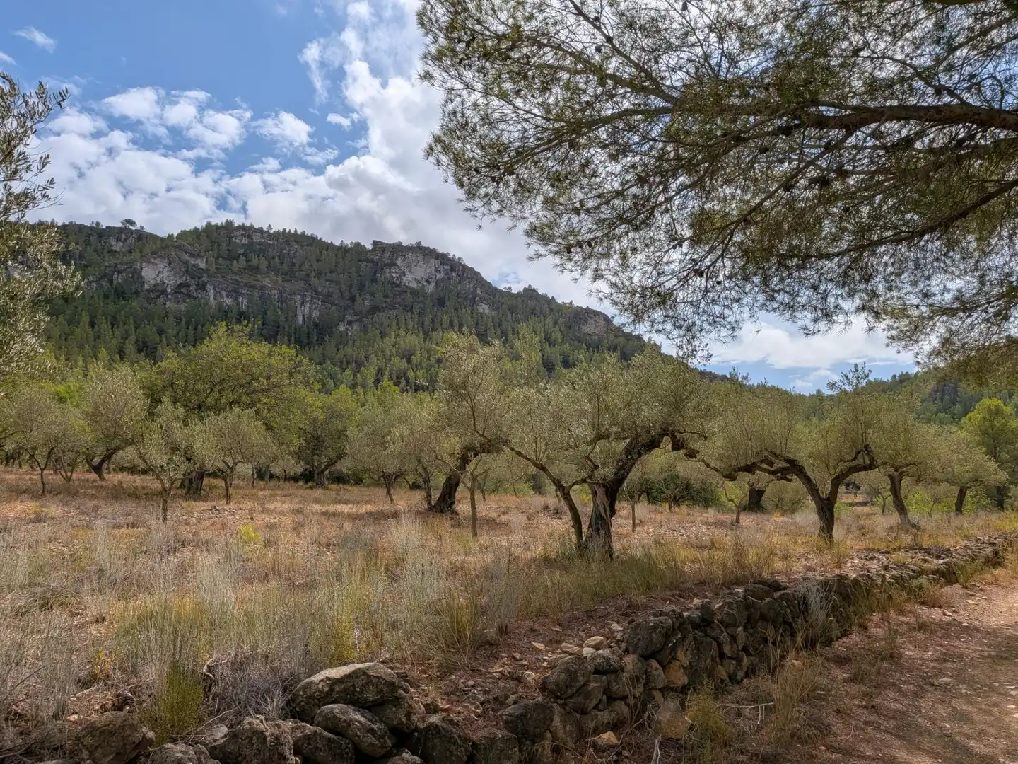 Maison rustique à vendre à Camino  Tivissa 51, imagen 43