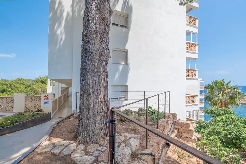 Apartament amb ascensor en venda a Portals Nous, imagen 22