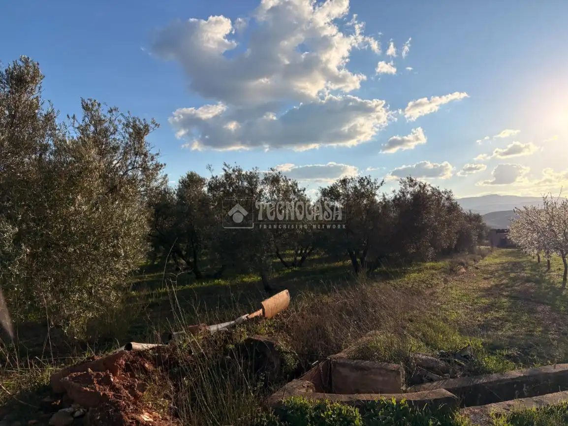 Rural land for sale in Dúrcal, imagen 6
