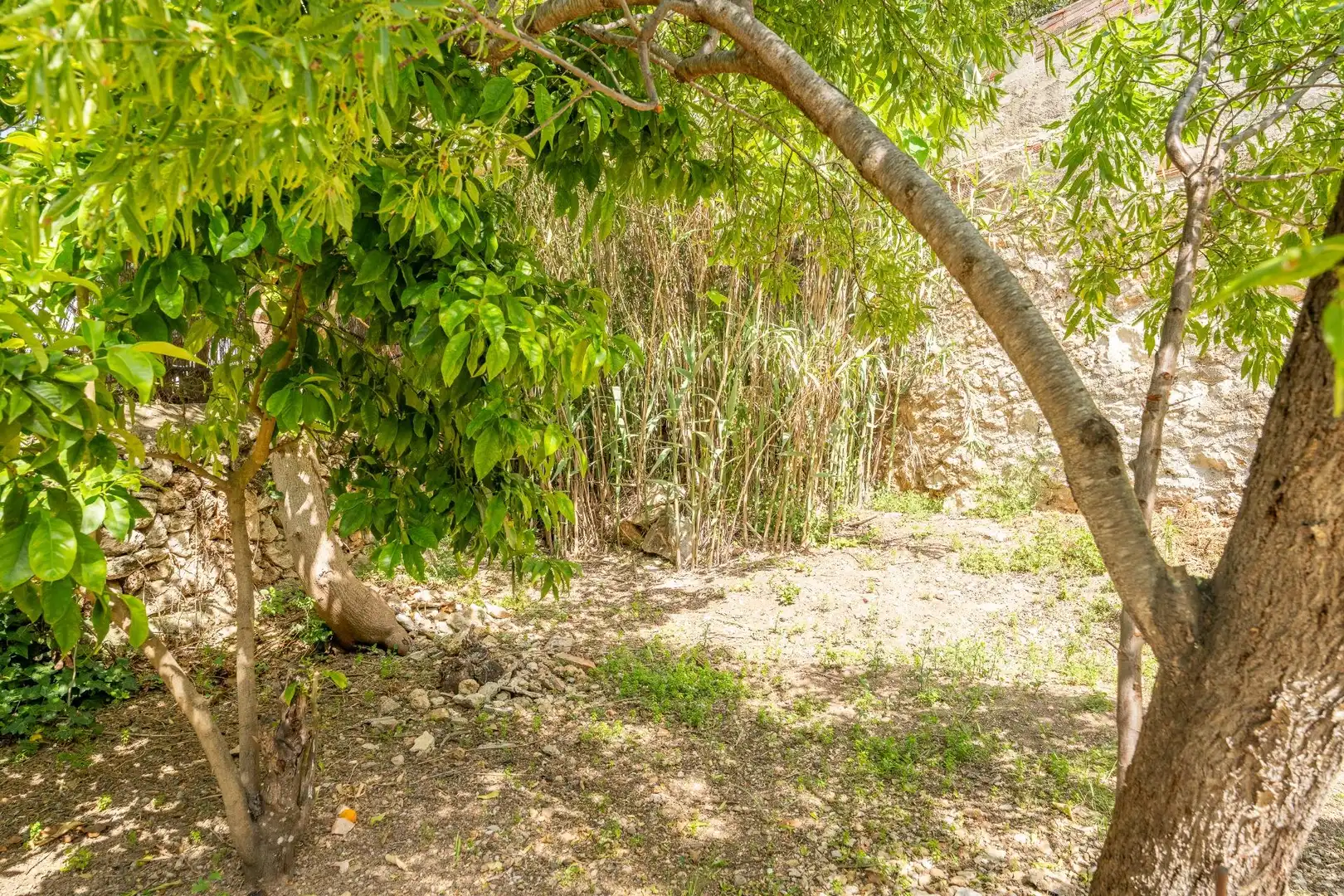 Villa avec piscine à vendre à MUNTANYA OLIVA-I, imagen 67