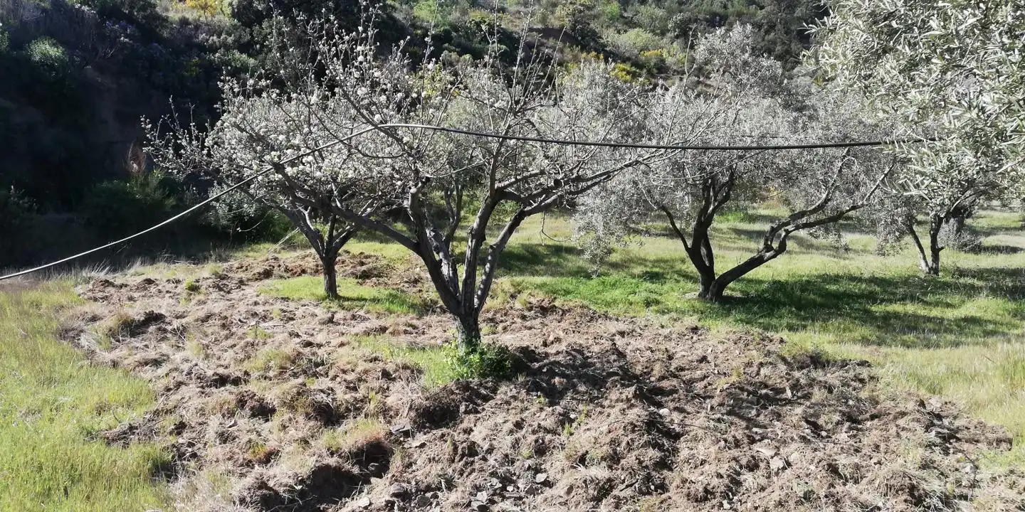 Casa rústica en venta en El Pinar, imagen 19