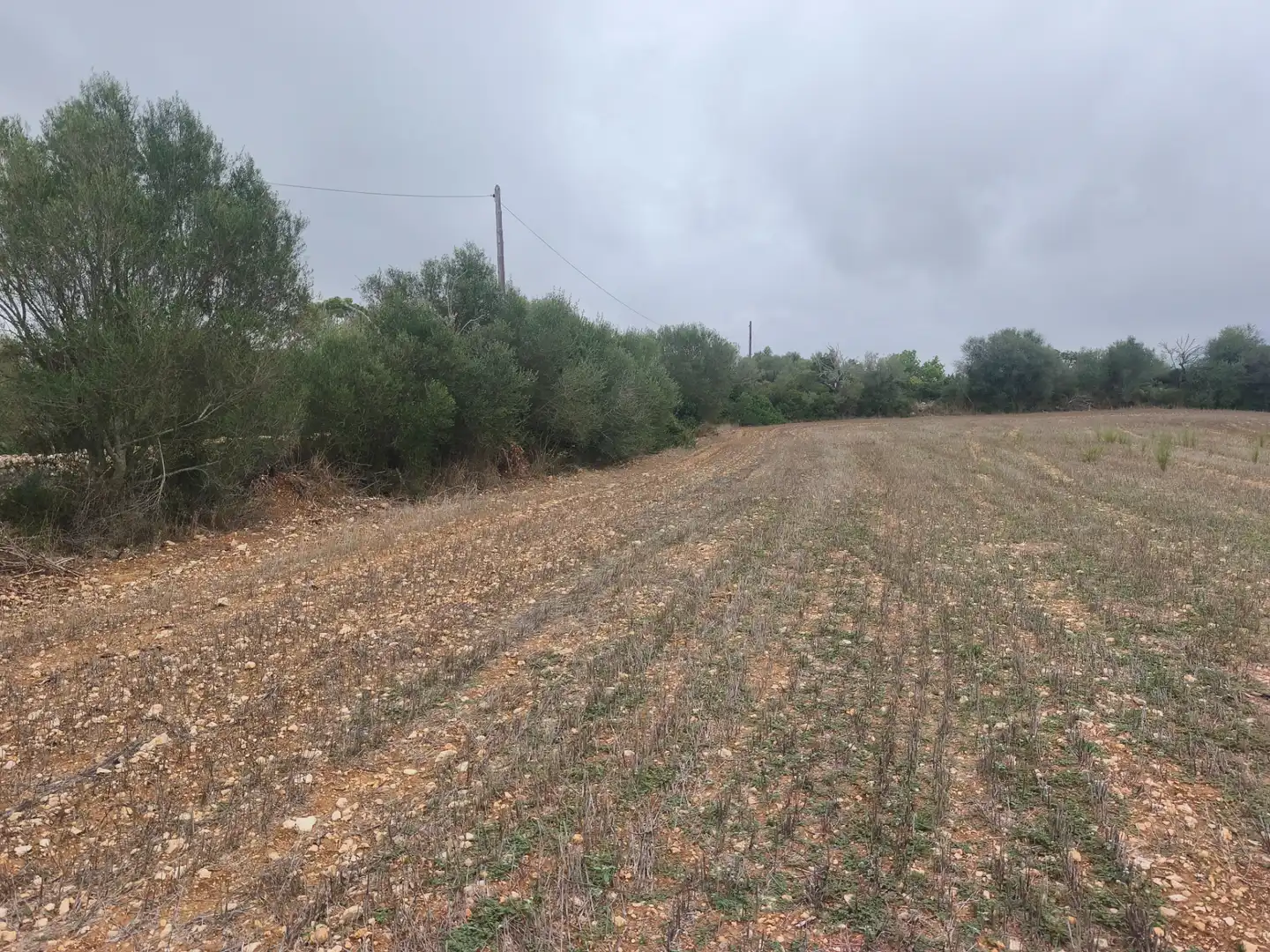 Terreny rústic en venda a Algaida, imagen 7