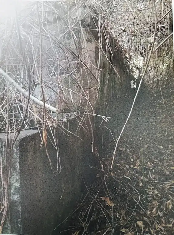 Exterior view of Land for sale in Puntallana