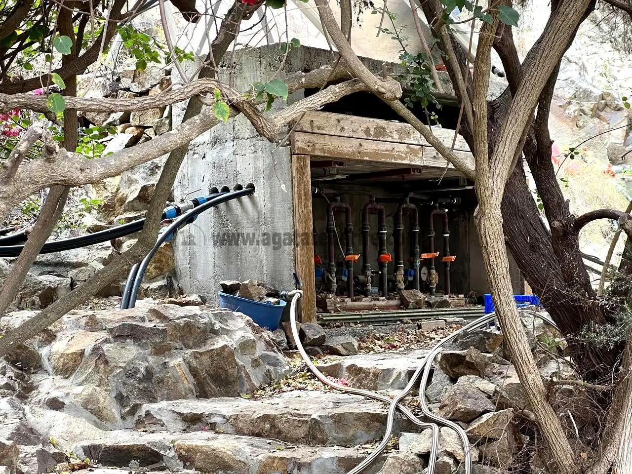 Vista exterior de Finca rústica en venta en Vallehermoso con Aire acondicionado, Calefacción y Jardín privado