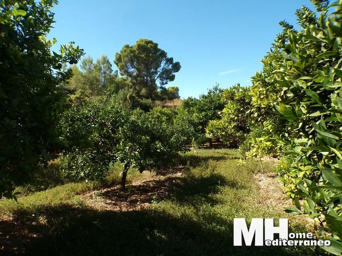 Rural land for sale in LES CHARRETES 15, imagen 4