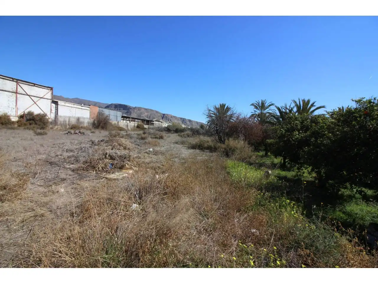 Terreno rustico in vendita a Carretera Alicún, imagen 10
