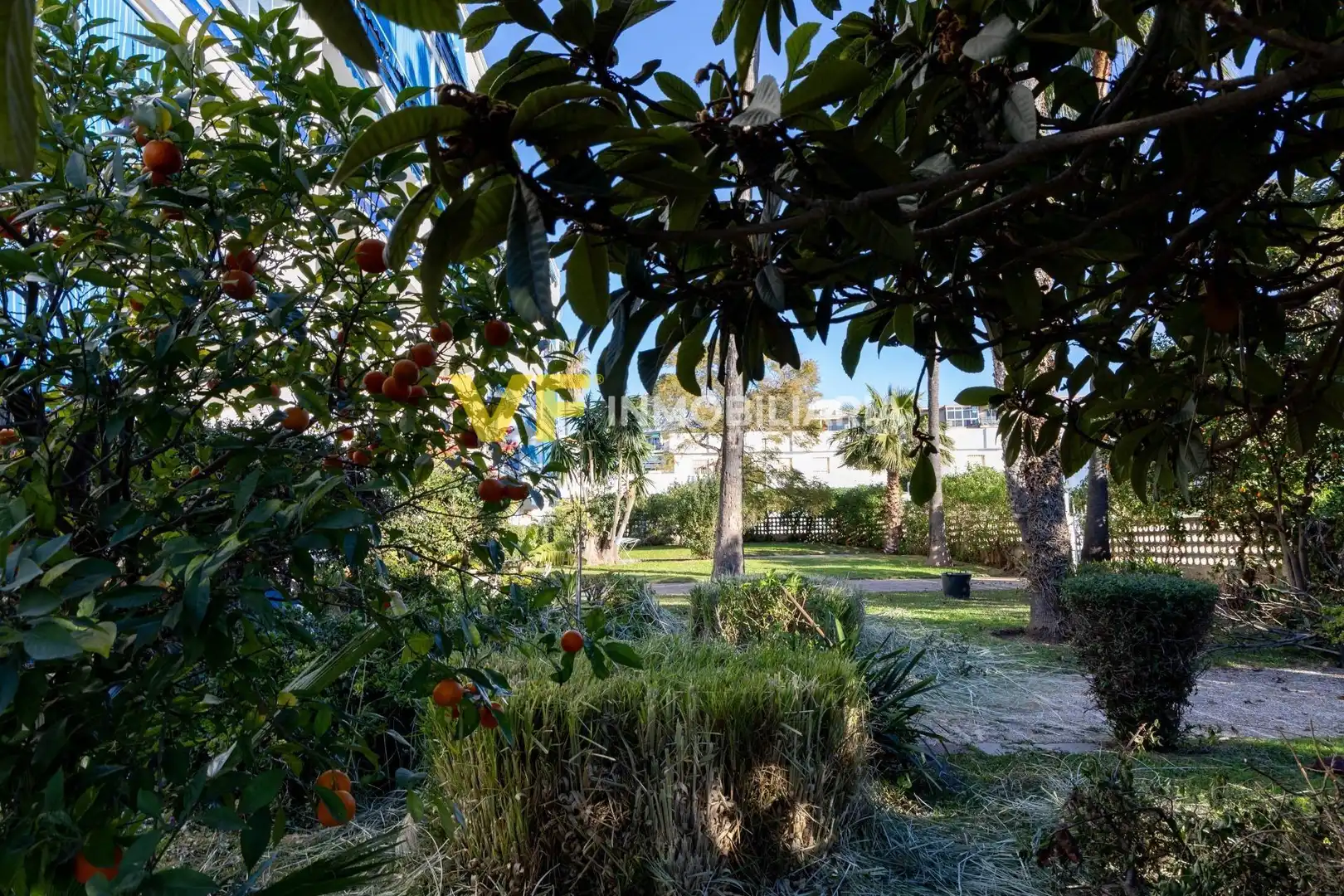 Jardí de Apartament en venda en Los Álamos