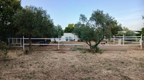 Foto 4 de Casa o xalet en venda a Pedanías Norte, Utrera