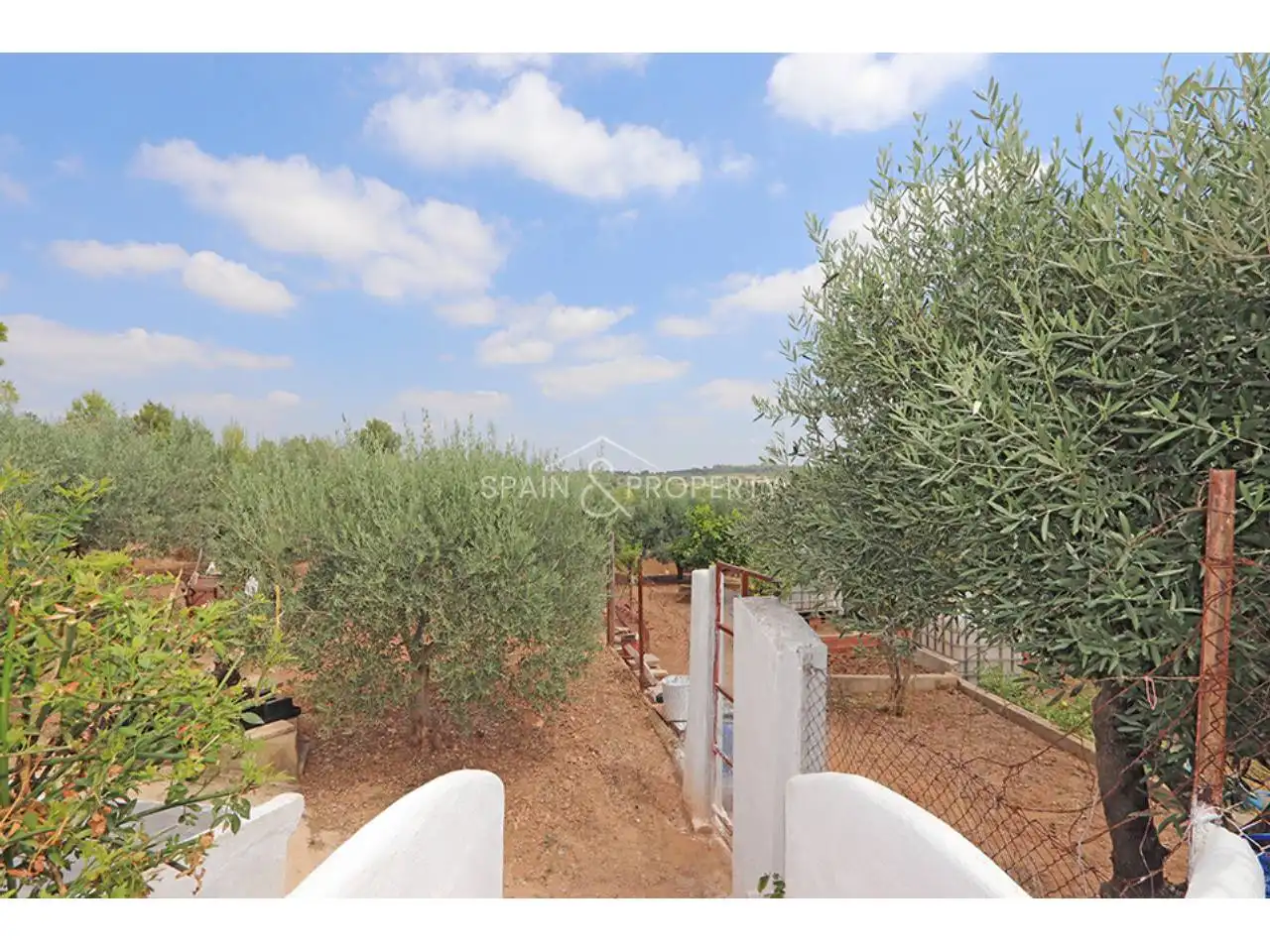 Detached house with pool for sale in Montserrat, imagen 20