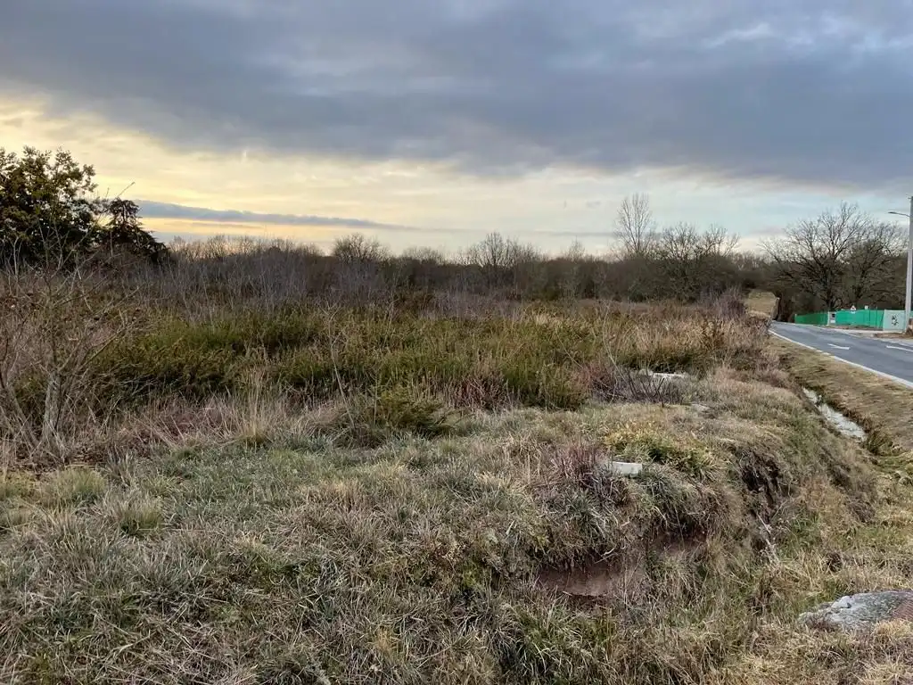Terreni e lotti in vendita a O Pereiro de Aguiar, imagen 7