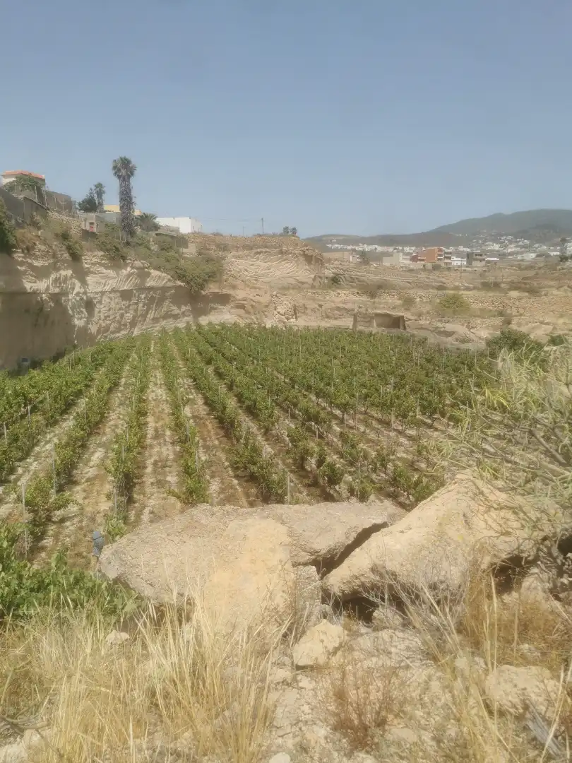 Terreny en venda en Granadilla de Abona