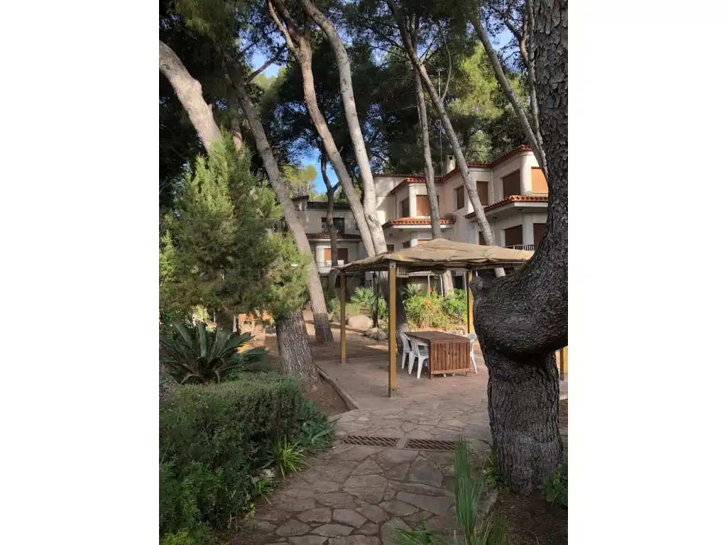 Casa in vendita a Calle Pineda 4, imagen 25