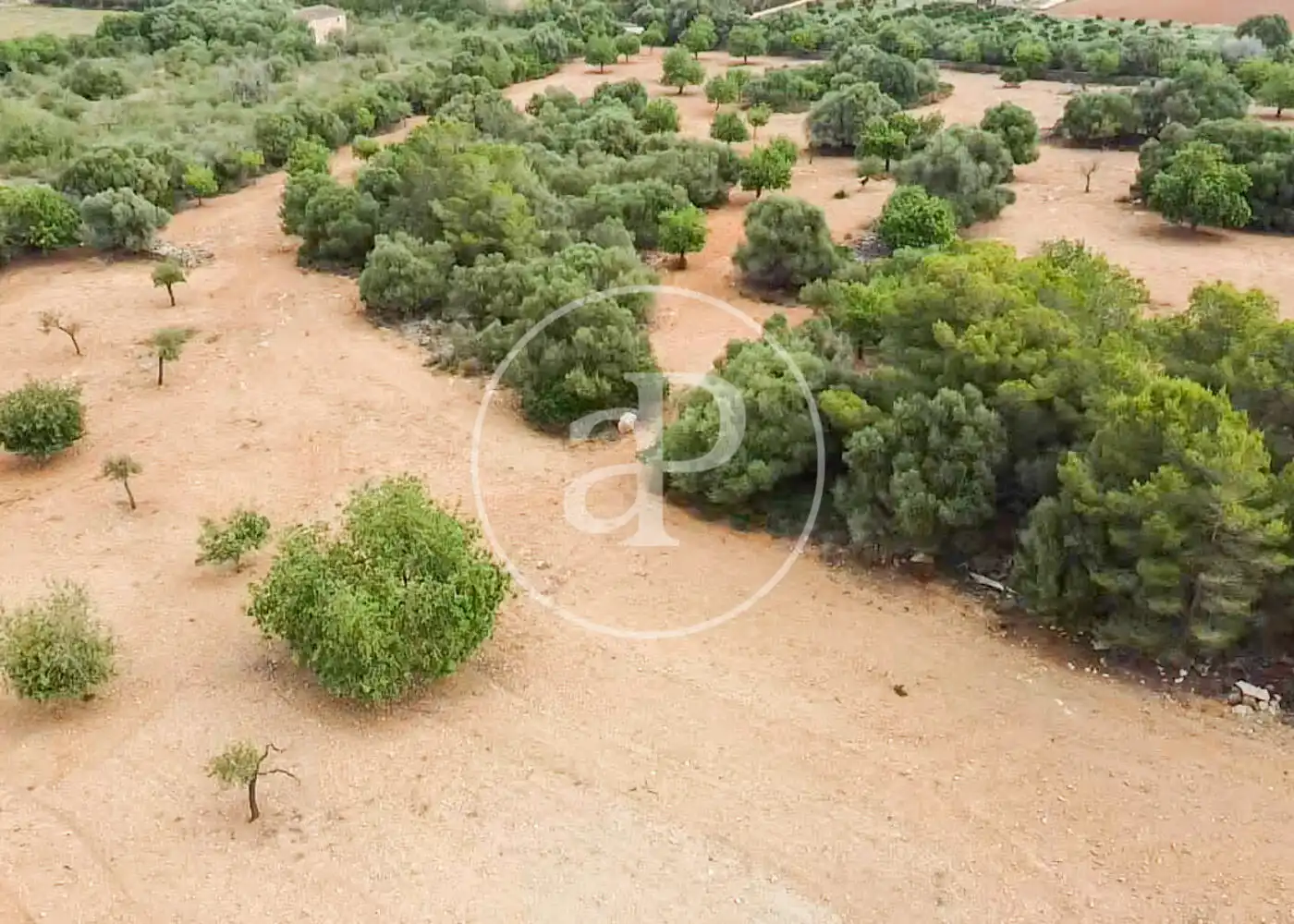 Residencial en venta en Manacor