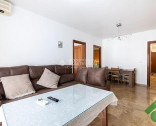 Living room of Flat for sale in Fuente Vaqueros  with Air Conditioner and Terrace