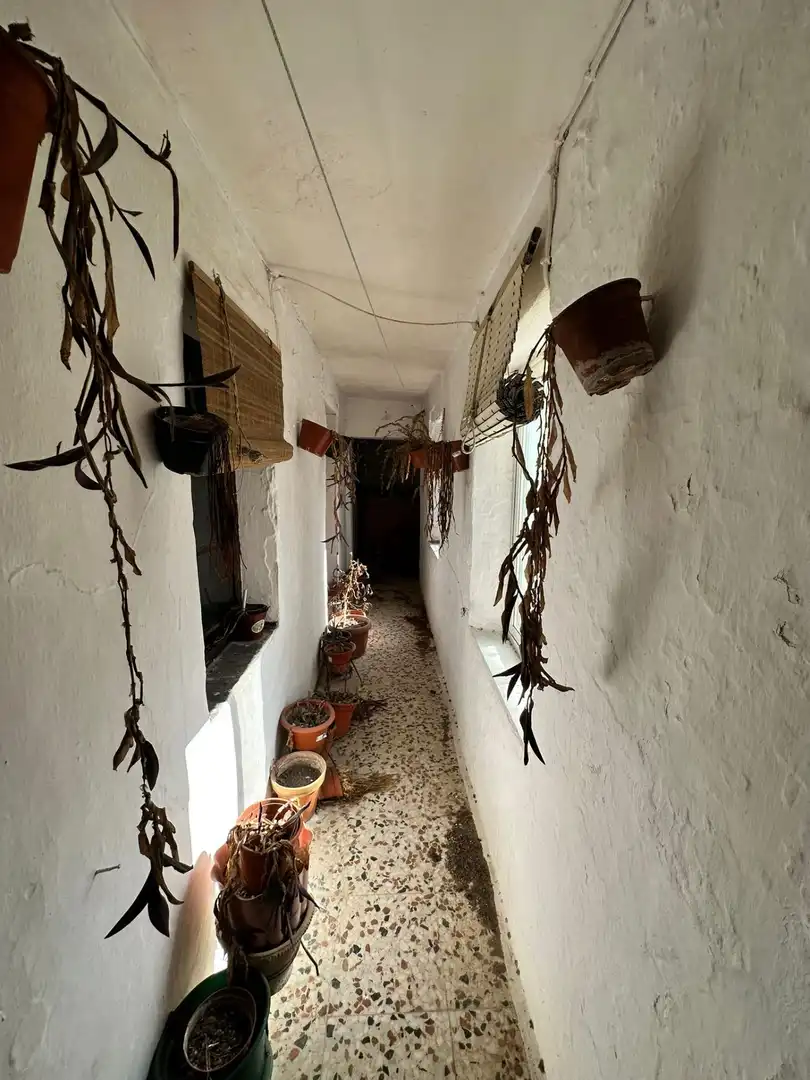Houses for sale in Medina Sidonia