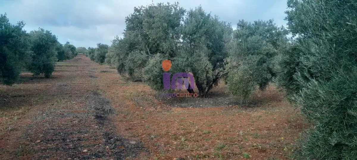 Casa rústica en venda a Valdepeñas, imagen 4
