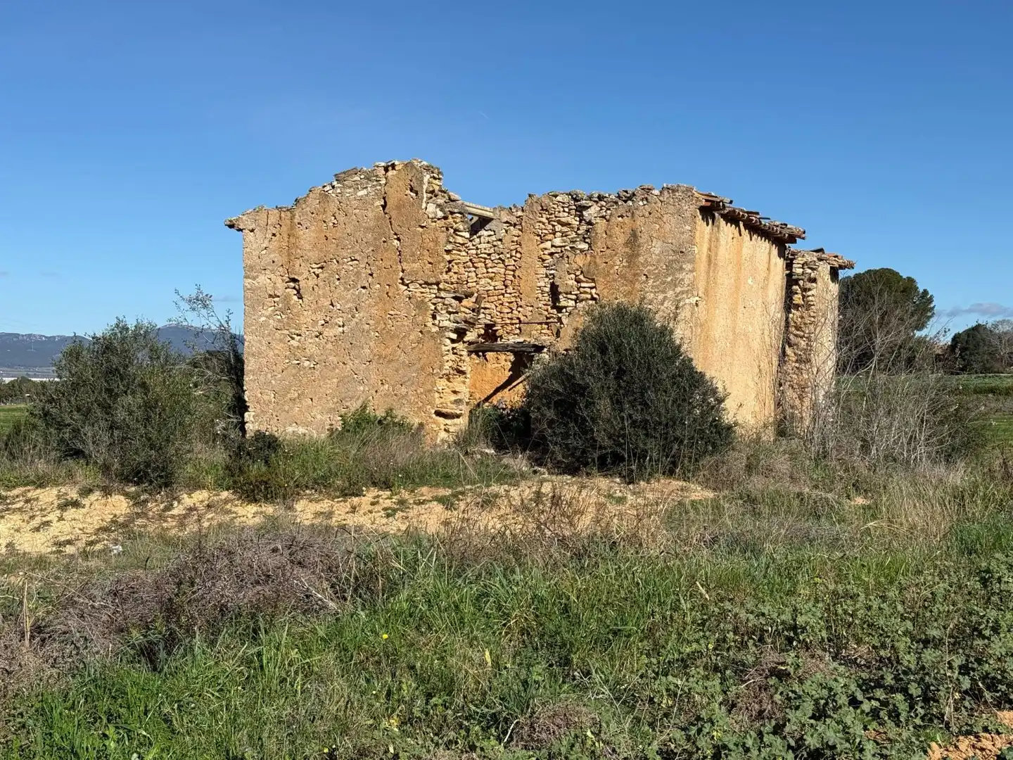 Finca rústica en venda a Puigpelat