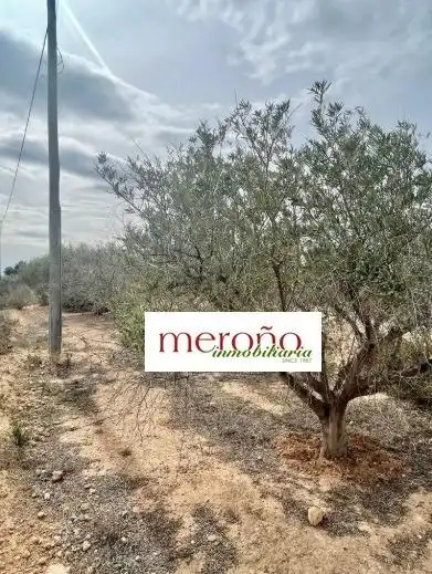 Terreno residencial en venta en Elche ciudad, imagen 3