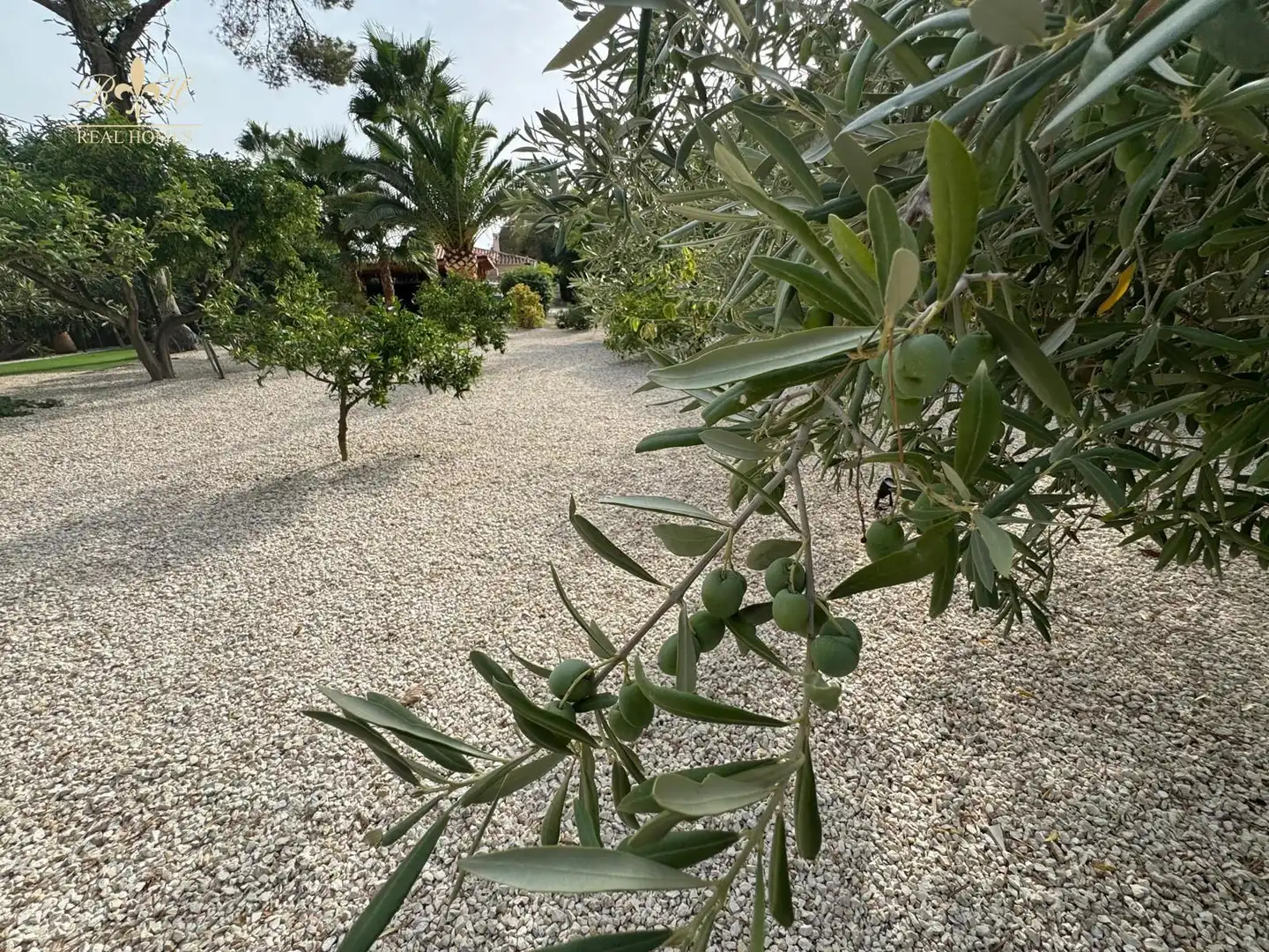 Jardín de Casa o chalet de alquiler en L'Alfàs del Pi con Aire acondicionado, Calefacción y Terraza