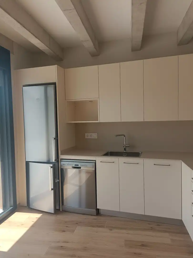Cuina de Casa o xalet de lloguer en Sant Aniol de Finestres amb Aire condicionat, Calefacció i Jardí privat