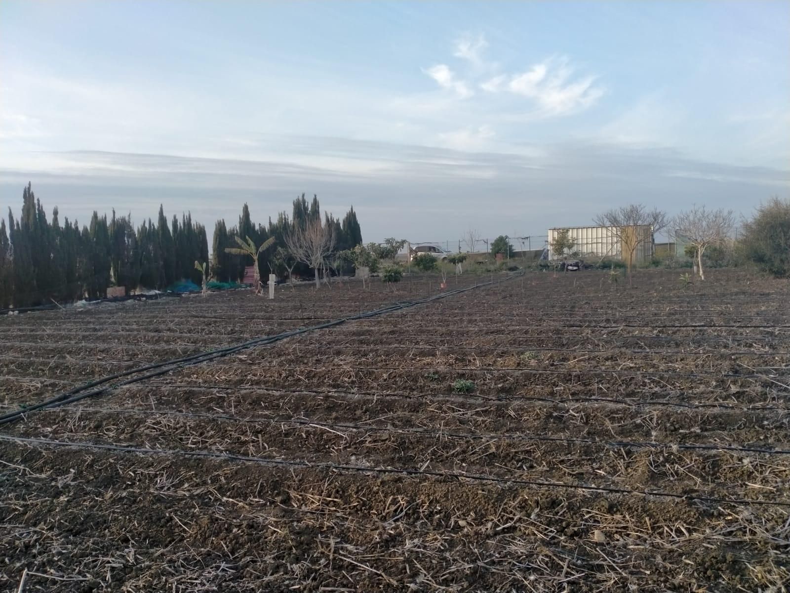 Residential for sale in Chipiona