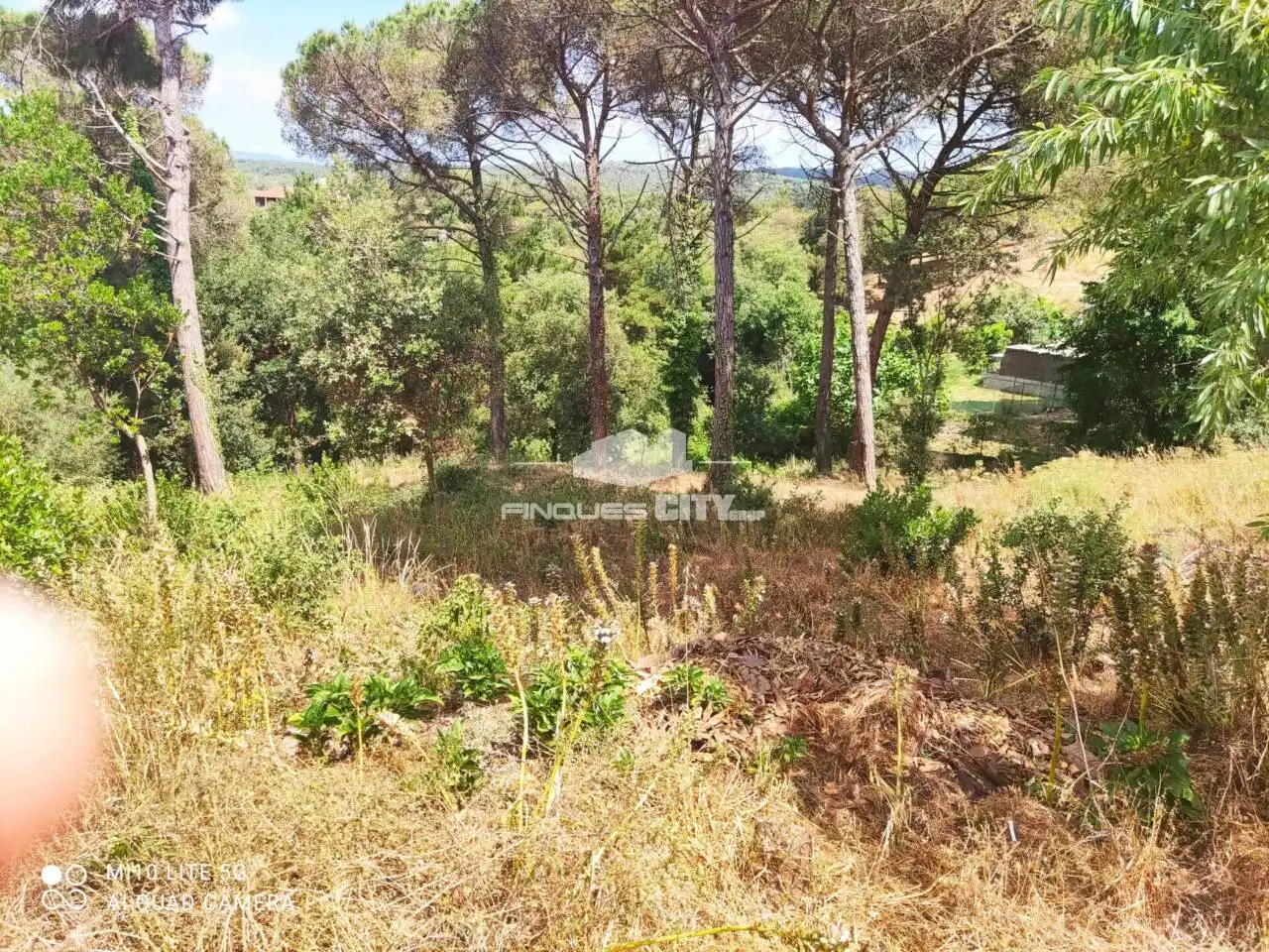 Terreno residencial en venta en Calle Nard, imagen 5