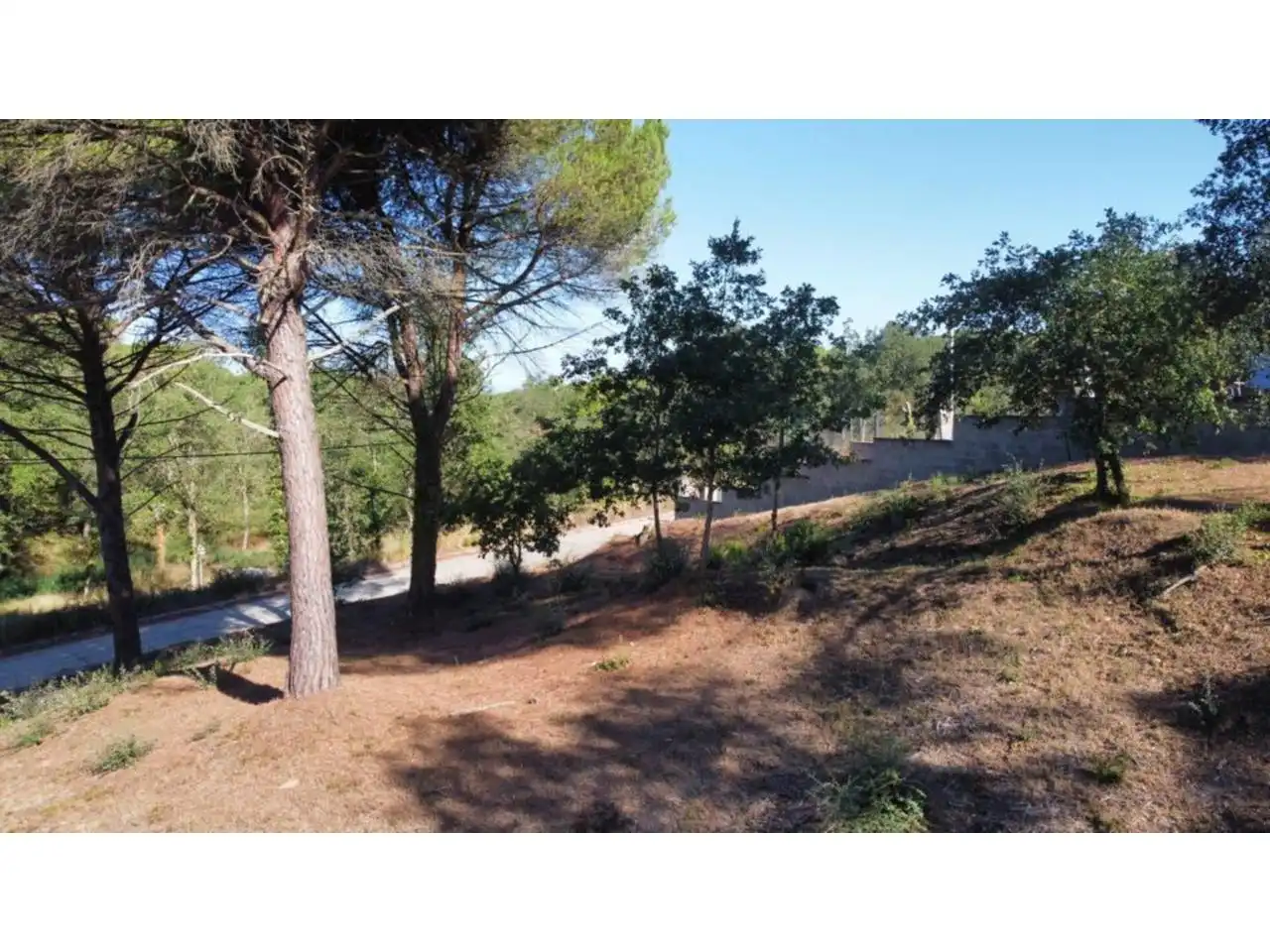 Terreno rústico en venta en Calle Caldes de Malavella, imagen 11