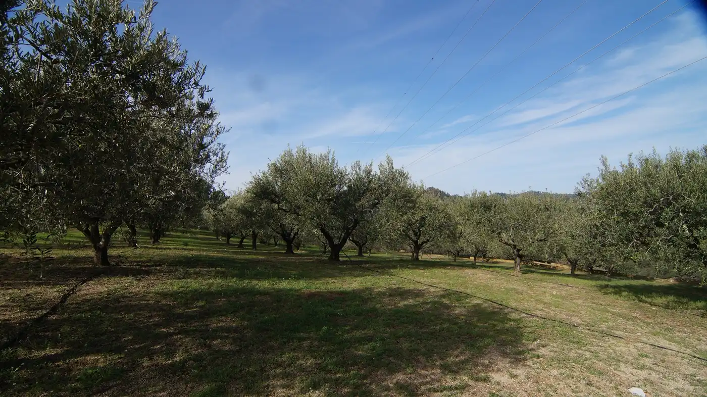 Country homes for sale in Falset  with Private garden