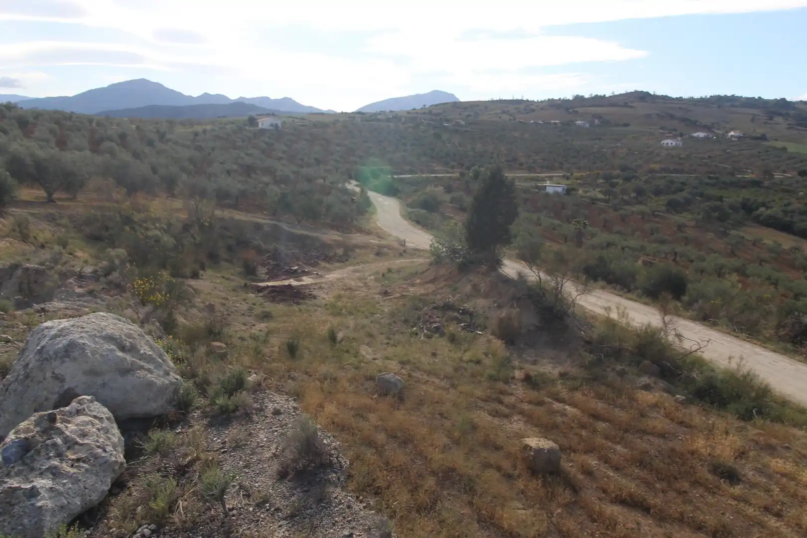 Rural land for sale in Diseminado Poligono 15, imagen 15