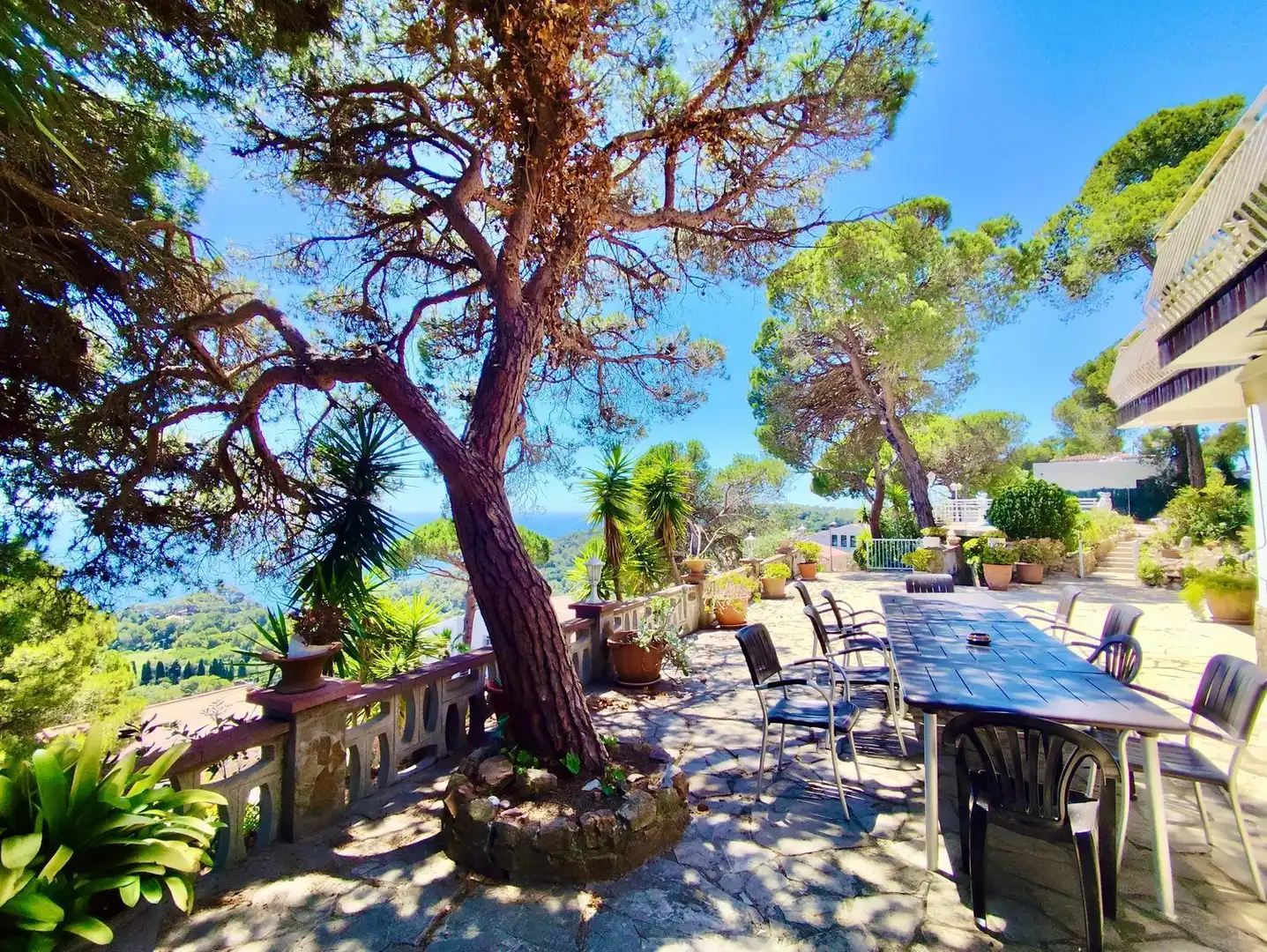 Villa avec piscine à vendre à Calle DAMIA, imagen 36