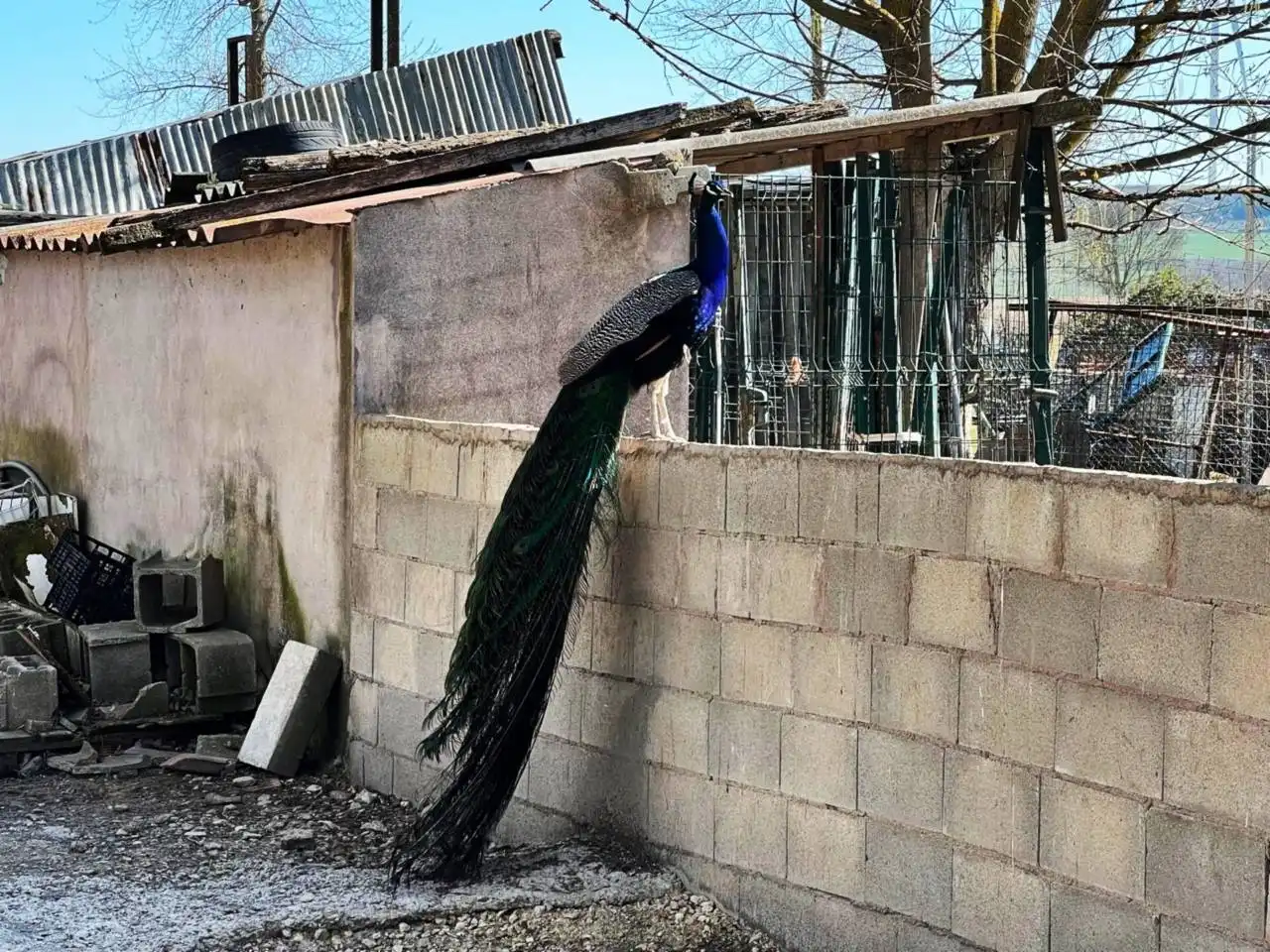 Vista exterior de Casa o chalet en venta en Frandovínez