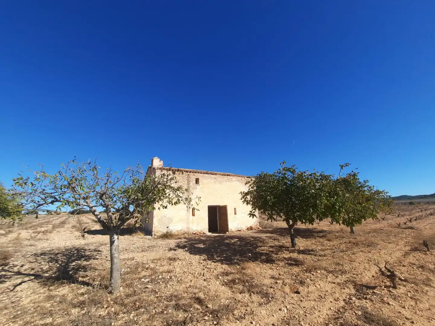 Casa rustica in vendita a Almansa