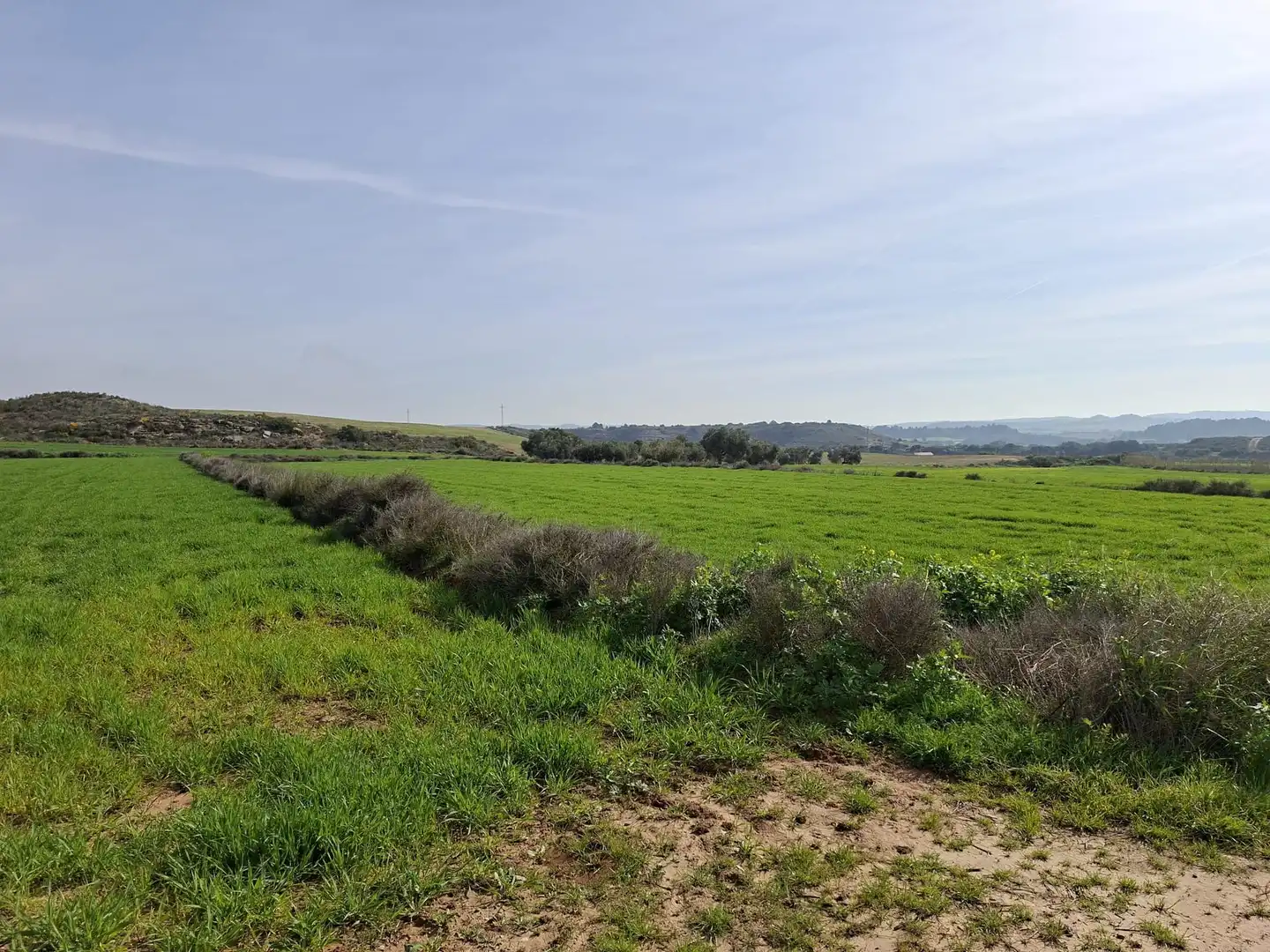 Terreni e lotti in vendita a Huerta Rimer de Alla, imagen 2